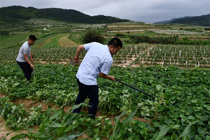 ������Ե(�й���)�ٷ���վ