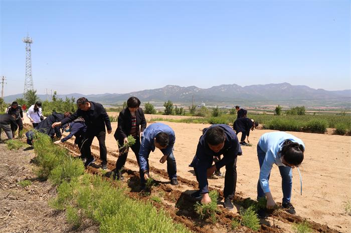 ������Ե(�й���)�ٷ���վ