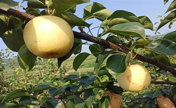 ������Ͷ���������������������